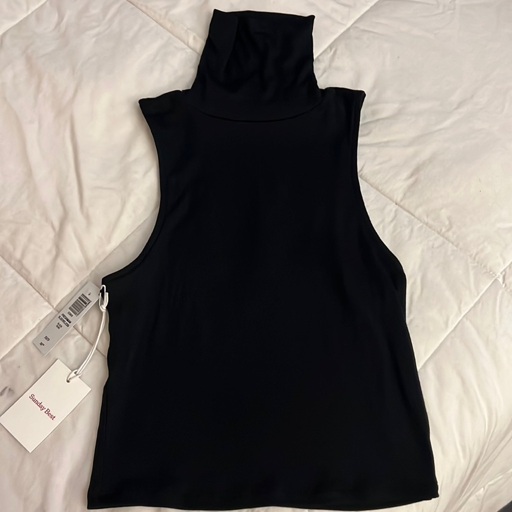 Aritzia Sunday Best Freshman Sleeveless cropped Turtleneck